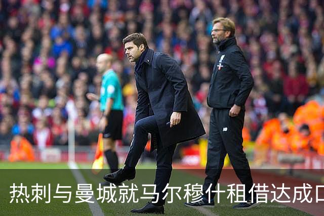 热刺与曼城就马尔穆什租借达成口头协议